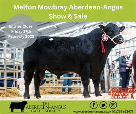 Melton Mowbray Aberdeen-Angus Show & Sale - Aberdeen-Angus Cattle Society