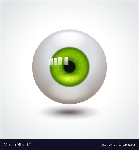 Green eye Royalty Free Vector Image - VectorStock