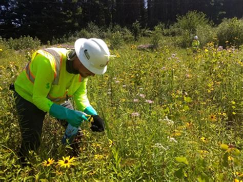 Invasive Species Control – Muskegon Lake Watershed Partnership