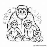 Gorilla Coloring Pages  Free & Printable sketch template