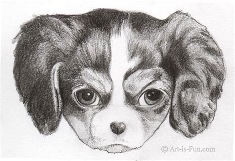 How to Draw a Puppy: Learn How to Draw Puppies! — Art is Fun