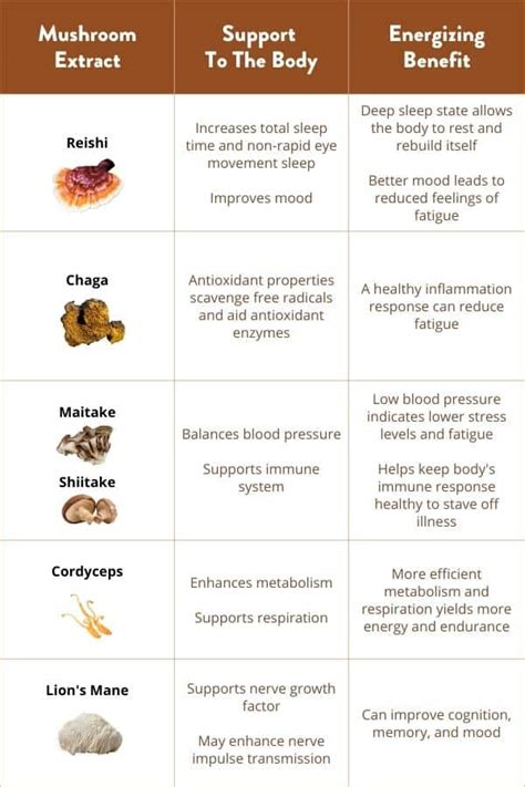 5 Long-Lasting Mushroom Coffee Benefits for Tired People