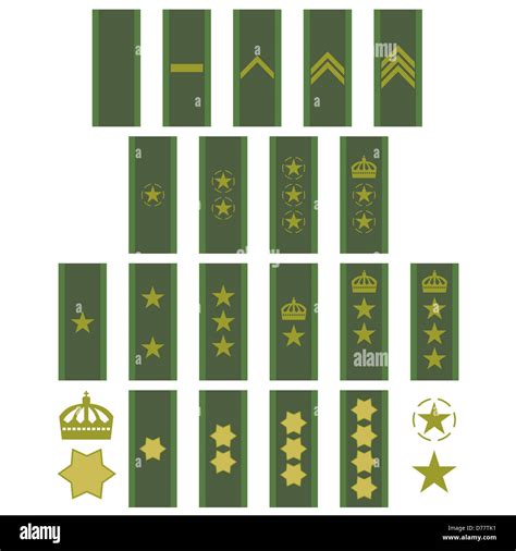 Military ranks and insignia of the world. The illustration on a white ...