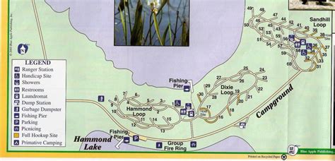 Campground Map - Lake Louisa State Park - Cleremont - Florida - Florida State Campgrounds Map ...