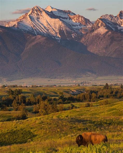 National Bison Range in Western Montana | Montana mountains, Western ...