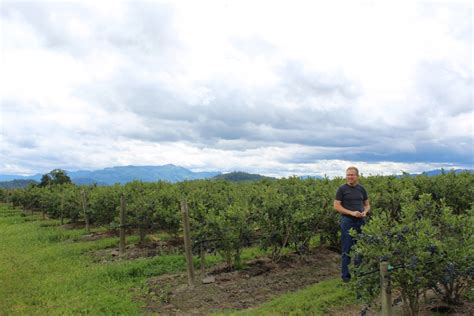 After three years of protesting, seasonal farm workers at Sakuma Brothers in Washington state ...