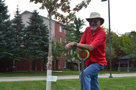 Pollinator week activities planned locally - StratfordToday.ca