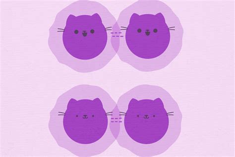 Scientists catch a classic quantum experiment on camera