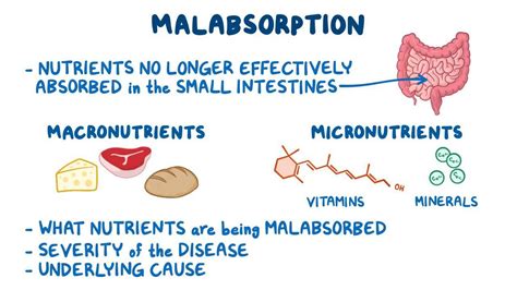 Malabsorption: Clinical practice - Osmosis