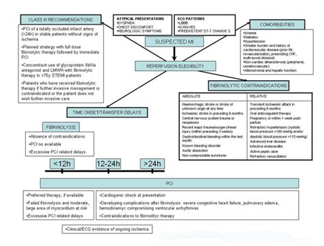 Determinants for reperfusion therapy decision. Reperfusion therapy ...