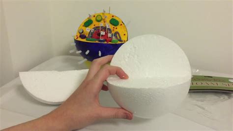 Plant Cell Model Styrofoam Ball