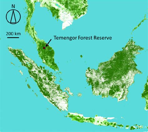 Forest Map Of Malaysia - Maps of the World