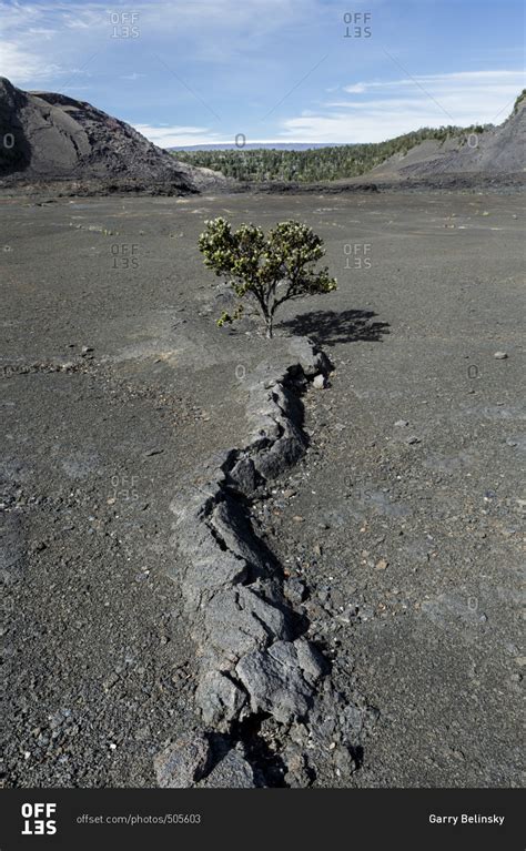 Kilauea Iki Crater, Volcanoes National Park, Hawaii stock photo - OFFSET