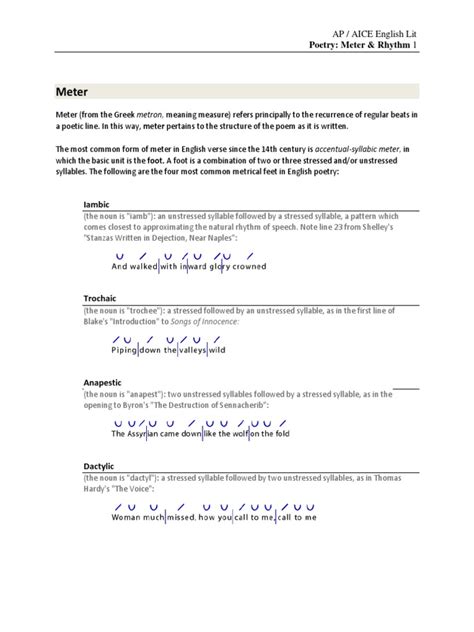 Meter and Rhythm Worksheet | Metre (Poetry) | Poetry