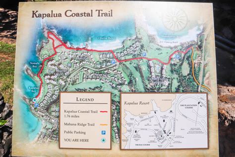 Kapalua Coastal Trail: A Beautiful Beach Walk That's Fun For All Ages