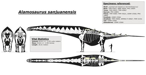 Updated Alamosaurus skeletal by palaeozoologist on DeviantArt