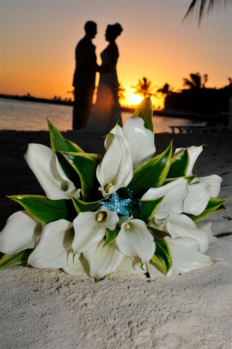 The ultimate Caribbean wedding guide: The rich culture of Aruba!