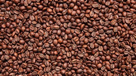 Top 15 Best Coffee Bean For Cold Brew: Reviews 2021