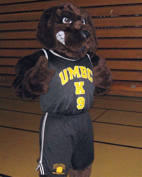 True Grit, the UMBC mascot | Jeff Quinton | Flickr