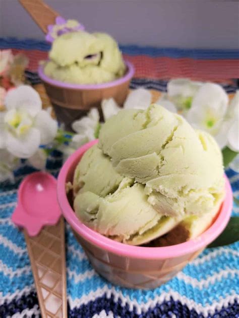 Homemade Avocado Ice Cream Recipe - This Old Gal