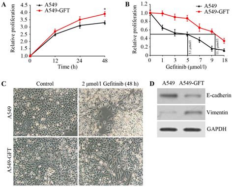 Overexpression of Napsin A resensitizes drug‑resistant lung cancer A549 ...