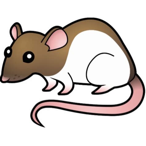 Cartoon Rat Pictures - Cute and Adorable Rat Illustrations