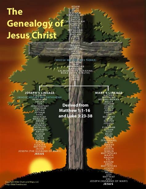 The genealogy of Jesus Christ | Genealogy of jesus, Bible genealogy ...