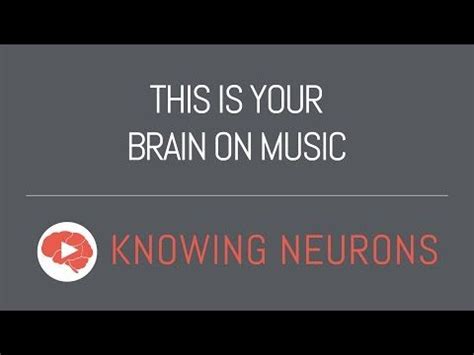 This is Your Brain on Music | Positive music, Music writing, Your brain