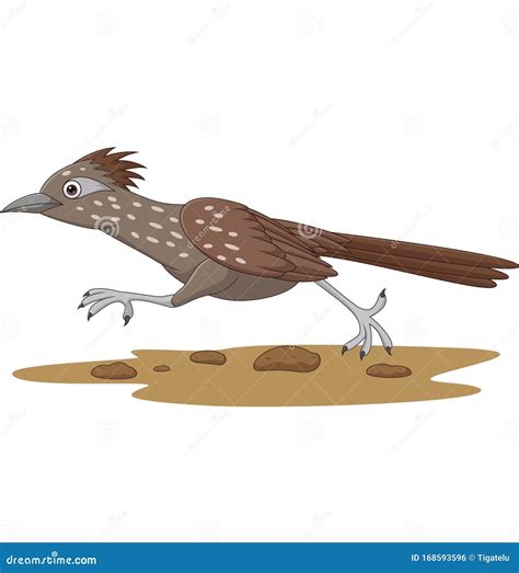 Roadrunner Bird Illustration Vector.Line Art Bird | CartoonDealer.com #158468168