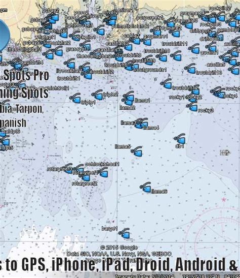 Gulf Big Bend/Apalachee Bay | Flats & Nearshore Fishing Spots