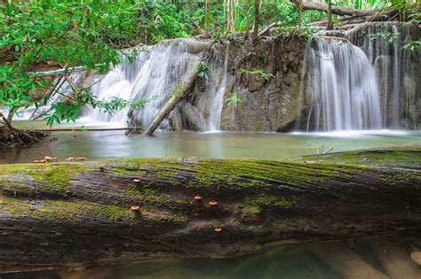 Premium Photo | Waterfall in deep forest