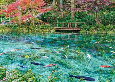 Jigsaw Puzzle Monet's Pond Gifu Japan (500pcs) | PlazaJapan