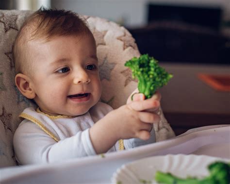 Broccoli for Babies - Baby Led Weaning Indian Recipes