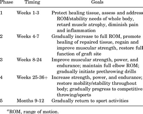 Rehabilitation Protocol a | Download Table