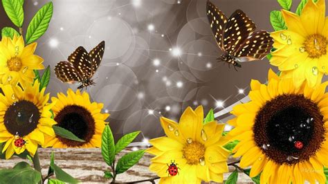 🔥 [50+] 3D Sunflower Wallpapers | WallpaperSafari