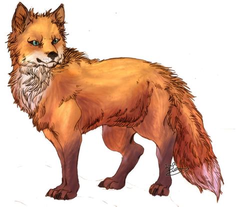 Angry Fox Drawing at GetDrawings.com | Free for personal use Angry Fox Drawing of your choice