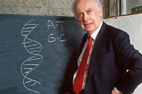 Why DNA pioneer James Watson just sold his Nobel Prize for $4.1 million - Vox