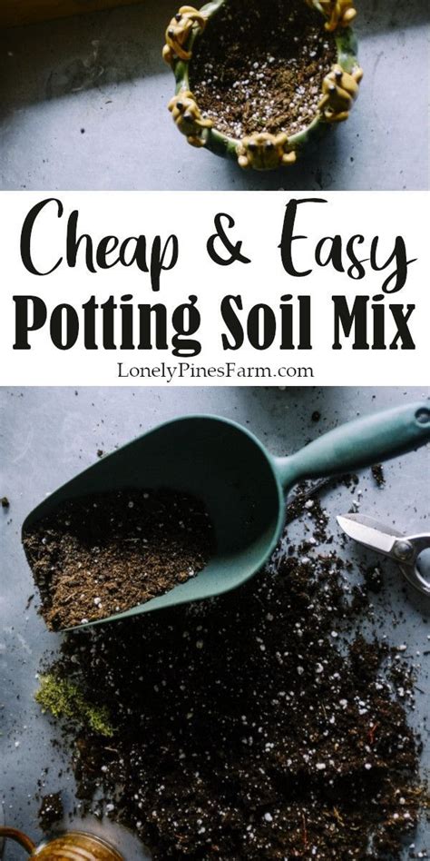 Cheap & Easy Potting Soil Mix | Potting soil, Grow your own food, Real food recipes