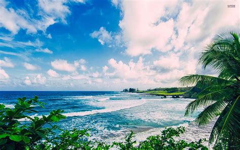 1080P free download | Beach in Maui, Hawaii, oceans, hawaii, ocean ...