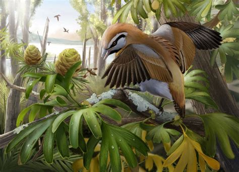 Cretaceous-Period Bird Had Hyper-Elongated Tongue | Sci.News