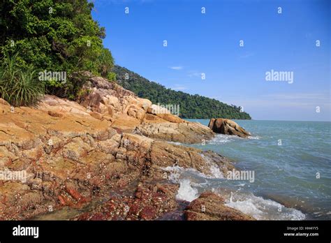 Penang national Park Stock Photo - Alamy