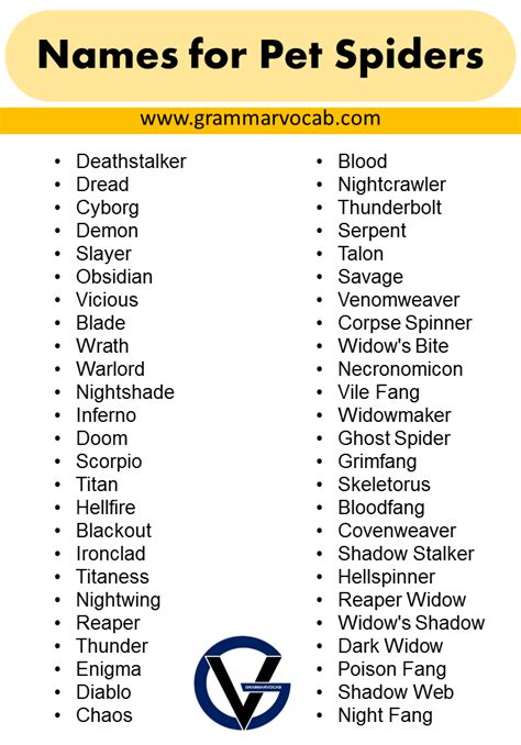 List of Names for Pet Spiders - Naming Tips - GrammarVocab