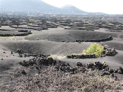 For an island that is almost one quarter covered in lava from multiple volcanic eruptions, Lanz ...