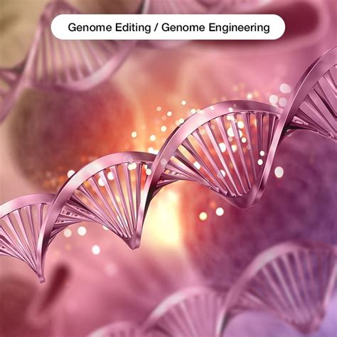 Genome Editing Genome Engineering Market - Forecast to 2030 | Dna ...