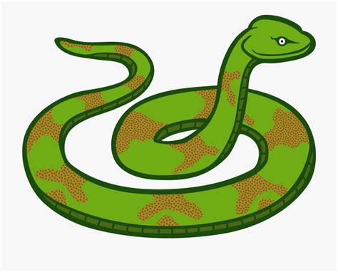 Snake clipart realistic pictures on Cliparts Pub 2020! 🔝