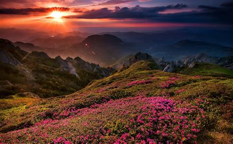 Wildflowers In The Valley Wallpapers - Wallpaper Cave