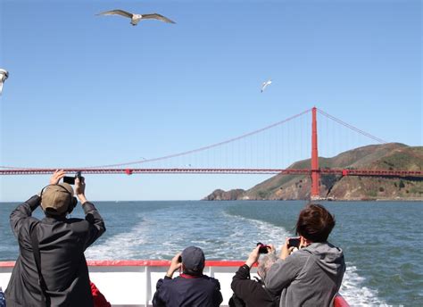 🛳️ San Francisco: Bridge to Bridge Cruise No booking fee | San ...