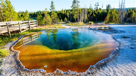 Yellowstone-Park: Touristen zerstören einzigartiges Naturwunder | STERN.de