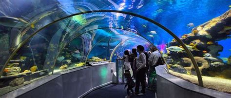 National Sea Life Centre | Sea life centre, Aquarium tickets, Monterey bay aquarium