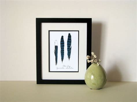 Feather Art Print, 8x10 Matted, Blue Jay Feathers Print, Feather Wall ...